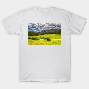 09551  Bison in Yellowstone T-Shirt